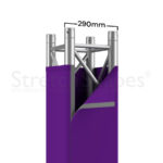 Plum