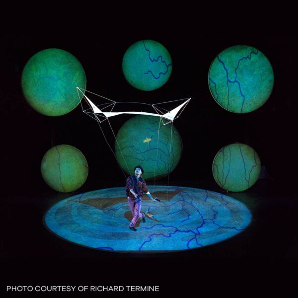 Full Moon Circle Screen Kits - Image 3